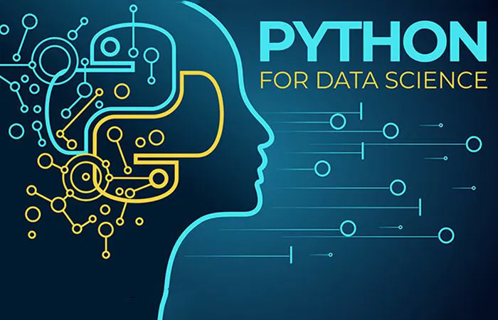 python for data science codeavenue